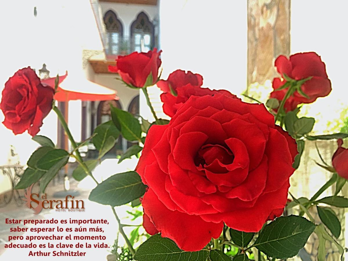 El Serafin Hotel Boutique Querétaro Екстериор снимка